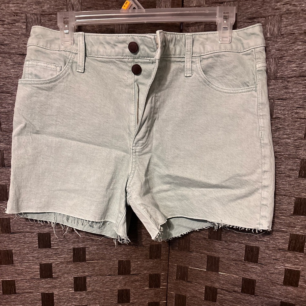 Mint green universal threat shorts